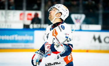 Highlights vs. Fribourg