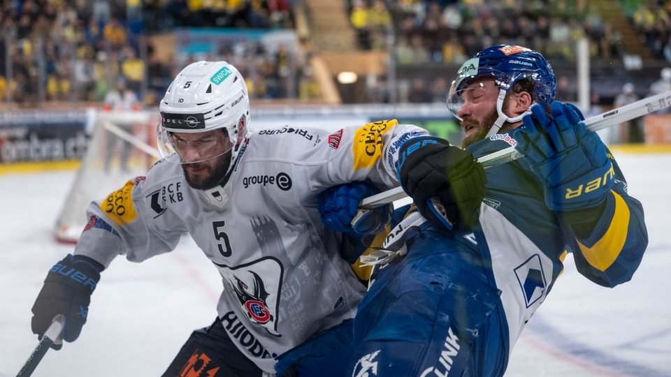 Lions-Newsletter 14.10.2026