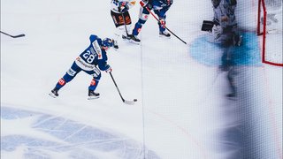 Highlights vs. Fribourg