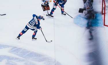 Highlights vs. Fribourg