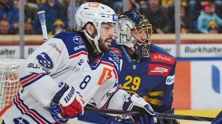 Interview vs. Davos HF6