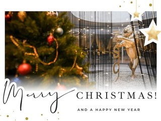 Blauweissrote Weihnachtsbotschaft