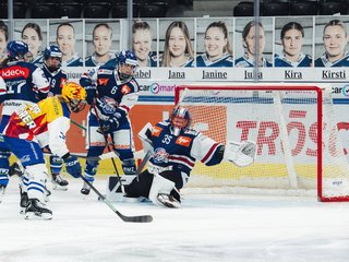 ZSC Lions Frauen holen wichtigen Punkt gegen Zug