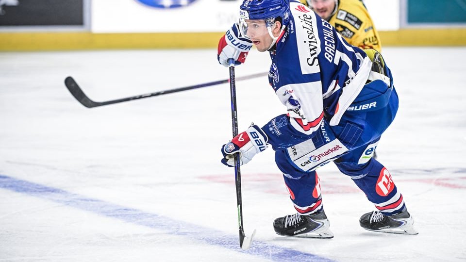 Lions-Newsletter 16.02.2026