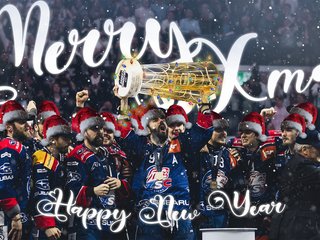 Weihnachtsbotschaft der Löwen