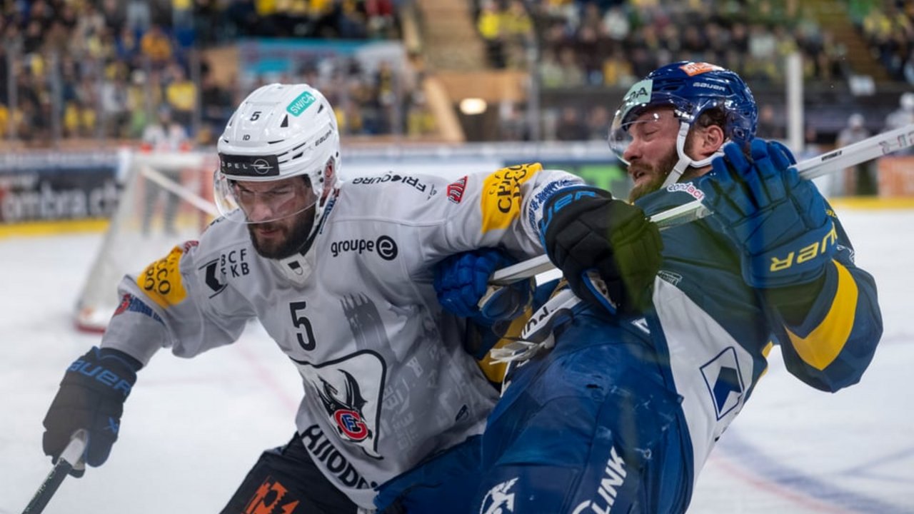 Lions-Newsletter 14.10.2026